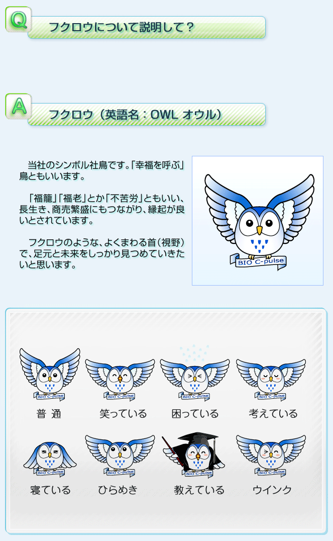 フクロウについての説明